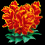 Bouquette of Canna Lucifers